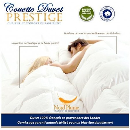 COUETTE DUVET luxe 220x240 ,80% Duvet Oie Blanc 20% Plumettes. Enveloppe 100% Coton percale 110 fils/cm², 400 g/m²