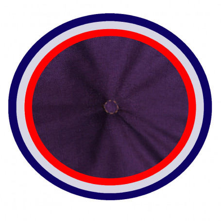 Coussin tapis matelas violet pour chien Coussin tapis matelas violet pour chien