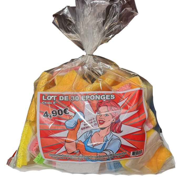 Lot de 30 éponges choix B*
