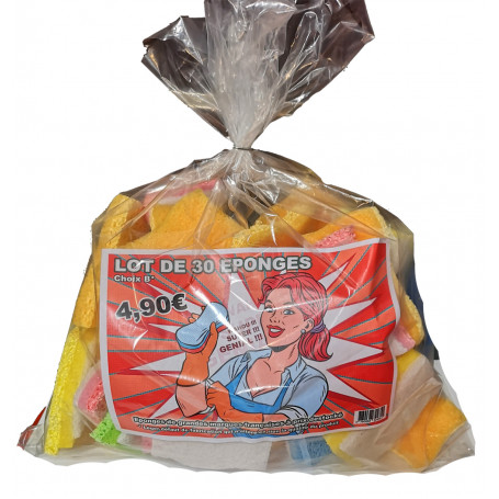 Lot de 30 éponges choix B*