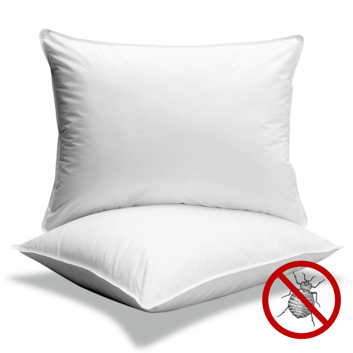 Oreiller anti-punaises de lit 60x60 cm