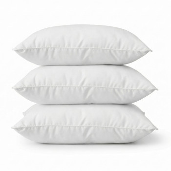 Lot de 3 oreillers pas cher